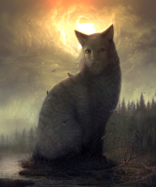 Обжитый кот