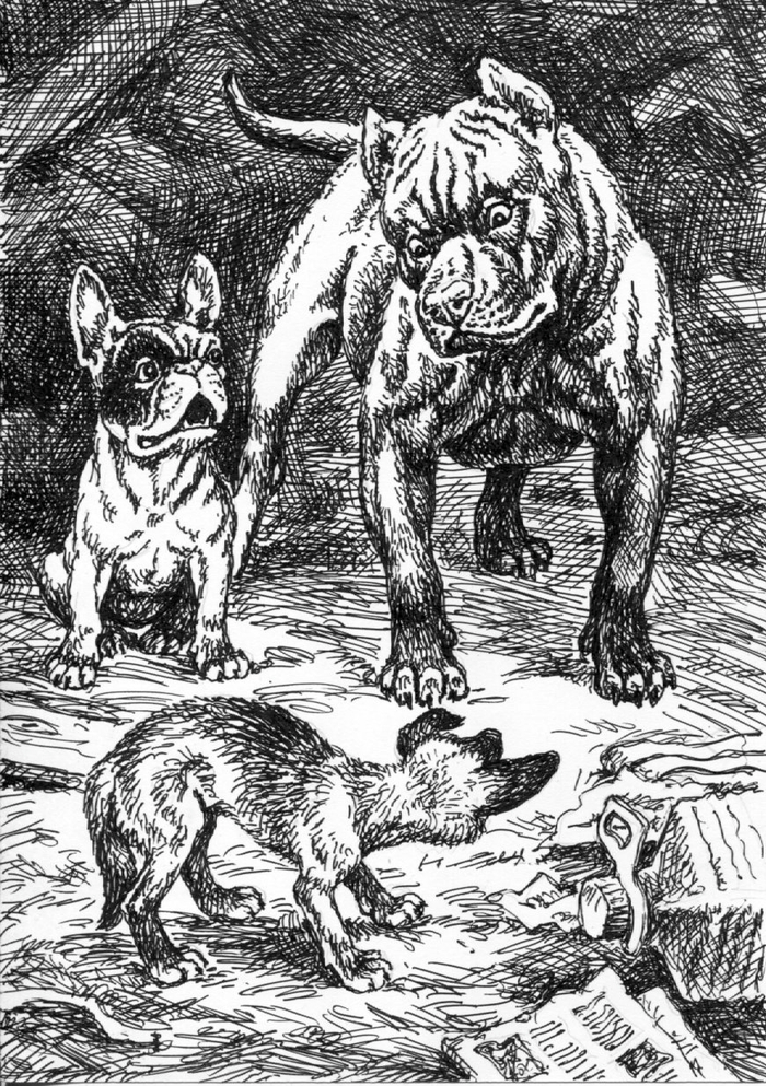 Он потерялся.