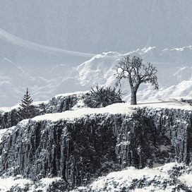 В холодном одиночестве