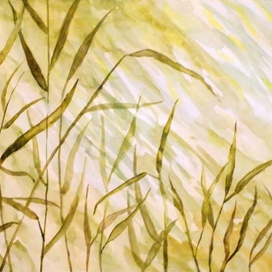 водица в озере