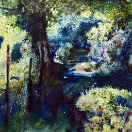 Волшебный Лес