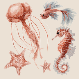 Медуза, рыба, морской конек, морская звезда 