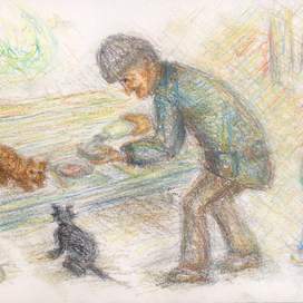 Кошки любят молоко