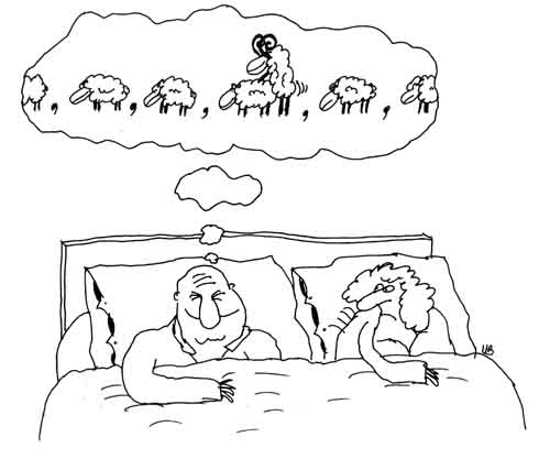 для www.best-carton.spb.ru