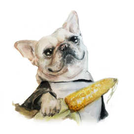 Французский бульдог