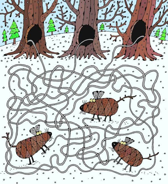 Шишки-мышки