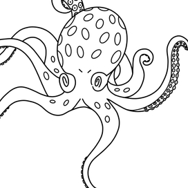 Графика, раскраски