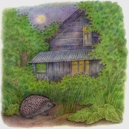 Ночной гость