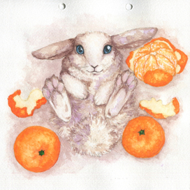Кролик с мандаринами
