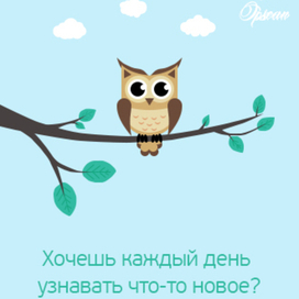 Иллюстрация-аватар "Фактио"