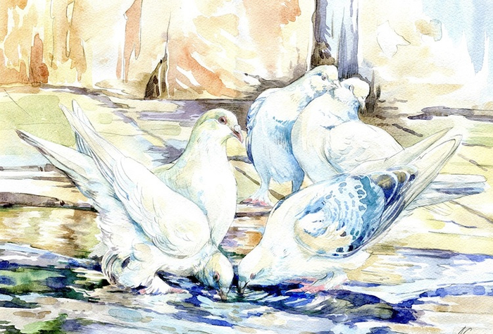 После дождя