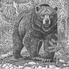 Мохнатый бог.