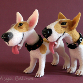 Парочка :) :)