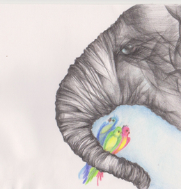 Слон и попугаи