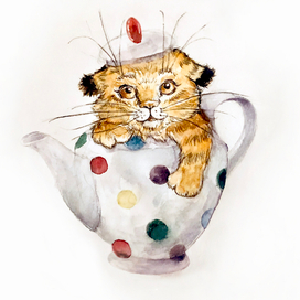 Тигрёнок в чайнике