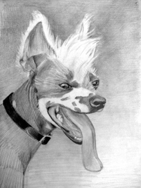 Собачка (рисунок с фото)