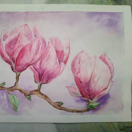 Ветка магнолии