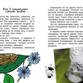 Кто без крыльев живет_04