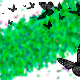 Чёрные бабочки