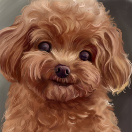 дружелюбный песик