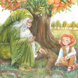 Апельсиновое дерево