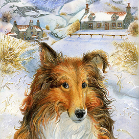 Лесси. Для издательства "Пальмира"