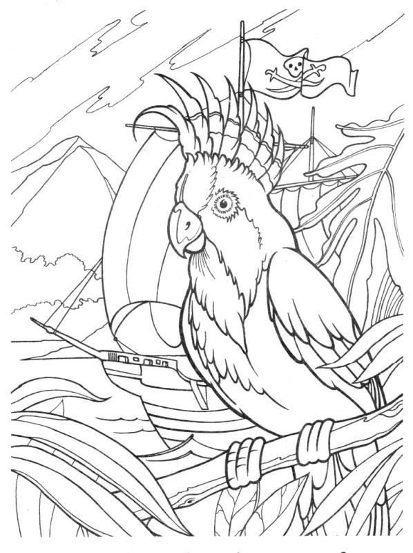 пиратская раскраска