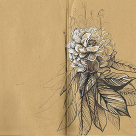 скетч/пион.