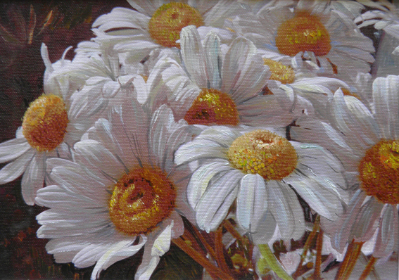 Ромашки Оксаны