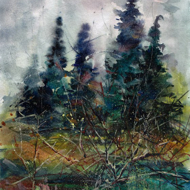 Вечерний лес/Evening forest