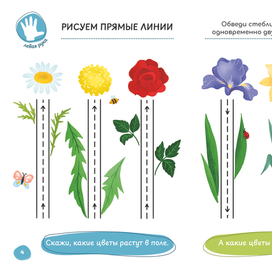 Книжка развивашка