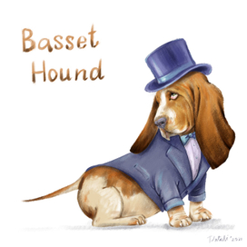 BASSET HOUND