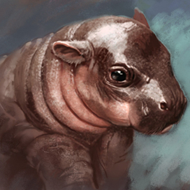 Детеныш бегемота