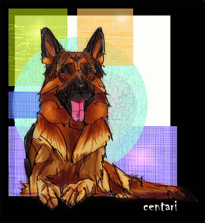 Немецкая овчарка. Вайко