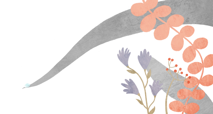 Книга-картина