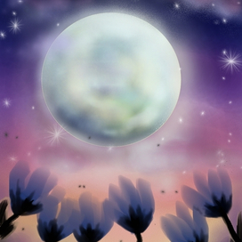 В лунном свете