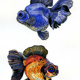 Телескопики