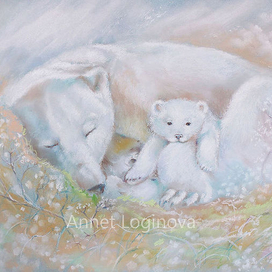 Там, где спят медведи 