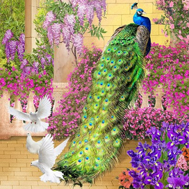 фотообои на заказ 