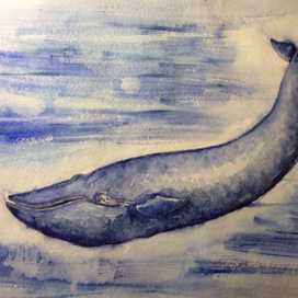 The whale