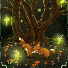  Witch circle and foxes