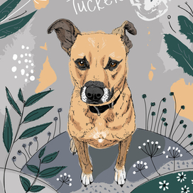 Постер "Портрет Такера"