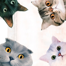 Кошачий портрет