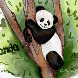 Панда