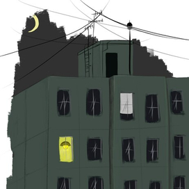 в доме один