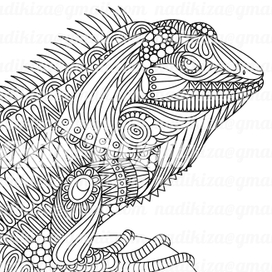 Рептилии - медитативная раскраска антистресс 