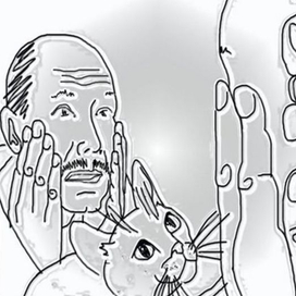 к нашей кошке ходит кот