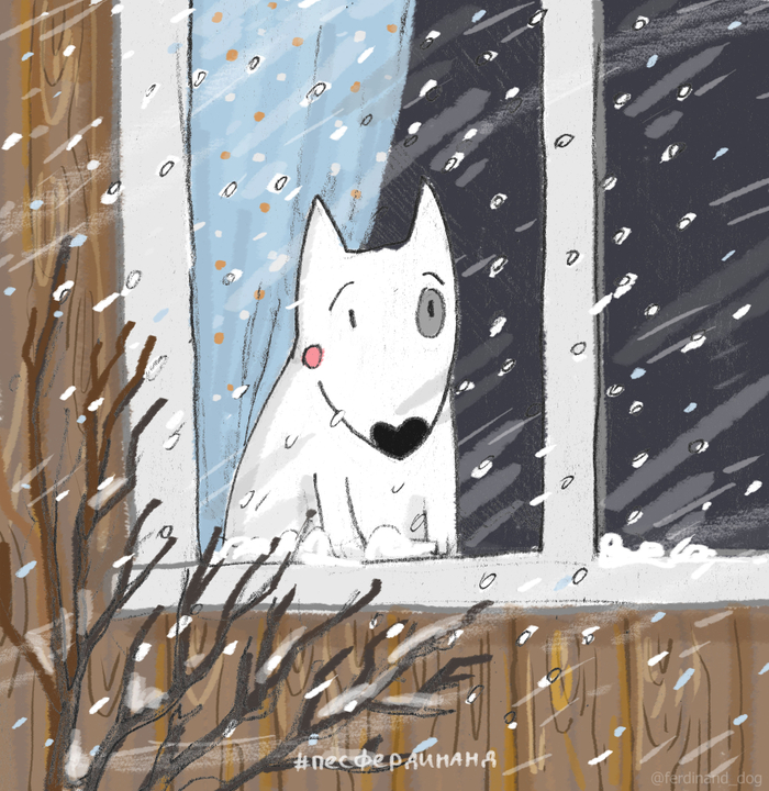 Бультерьер за окном