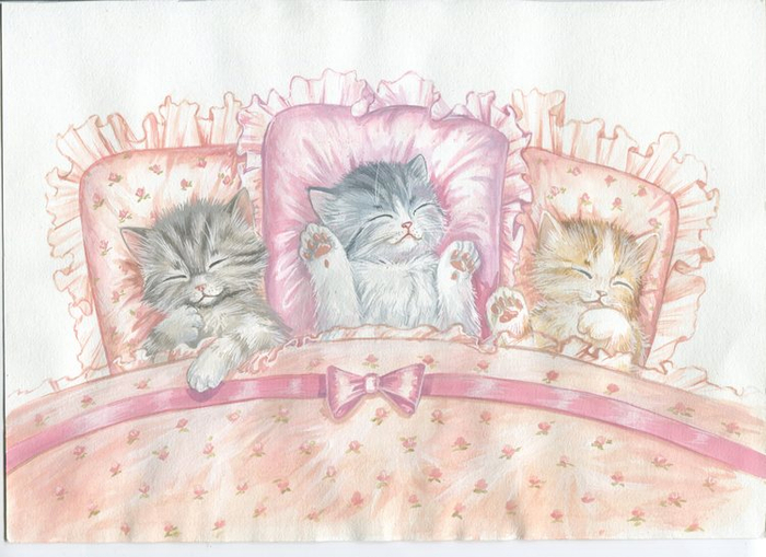 спящие котята