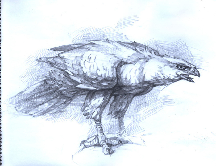 Грозная птица.